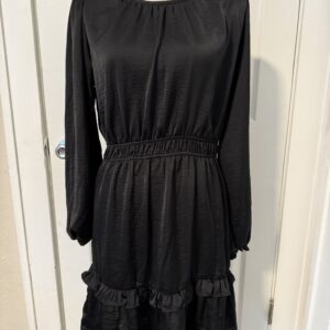 Black Silky Long Sleeve Dress
